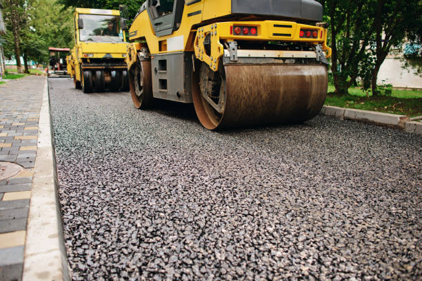 Best Local Driveway Pavers  in Bardmoor, FL